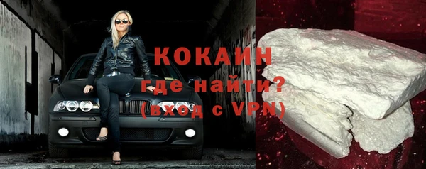 дживик Навашино