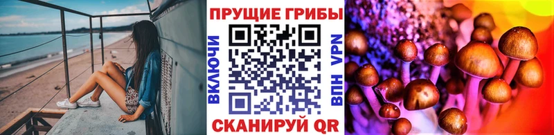 MEGA   даркнет наркотические препараты  Галлюциногенные грибы Psilocybine cubensis  Апшеронск 