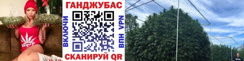 хочу   Апшеронск  Конопля Ganja 